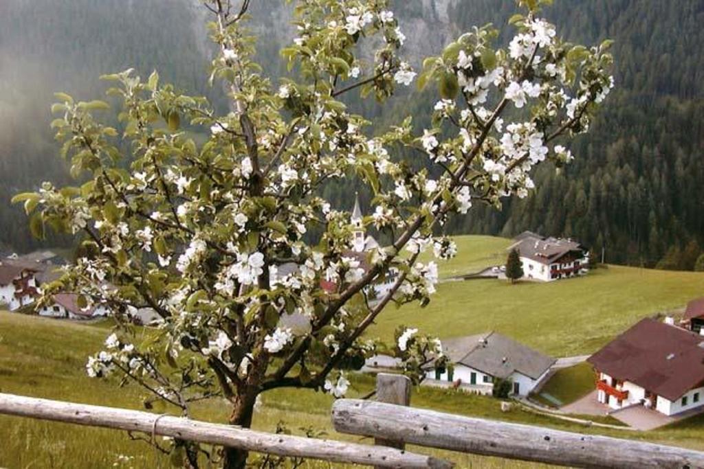 Agriturismo Apartments Tuene Urtijëi Dış mekan fotoğraf